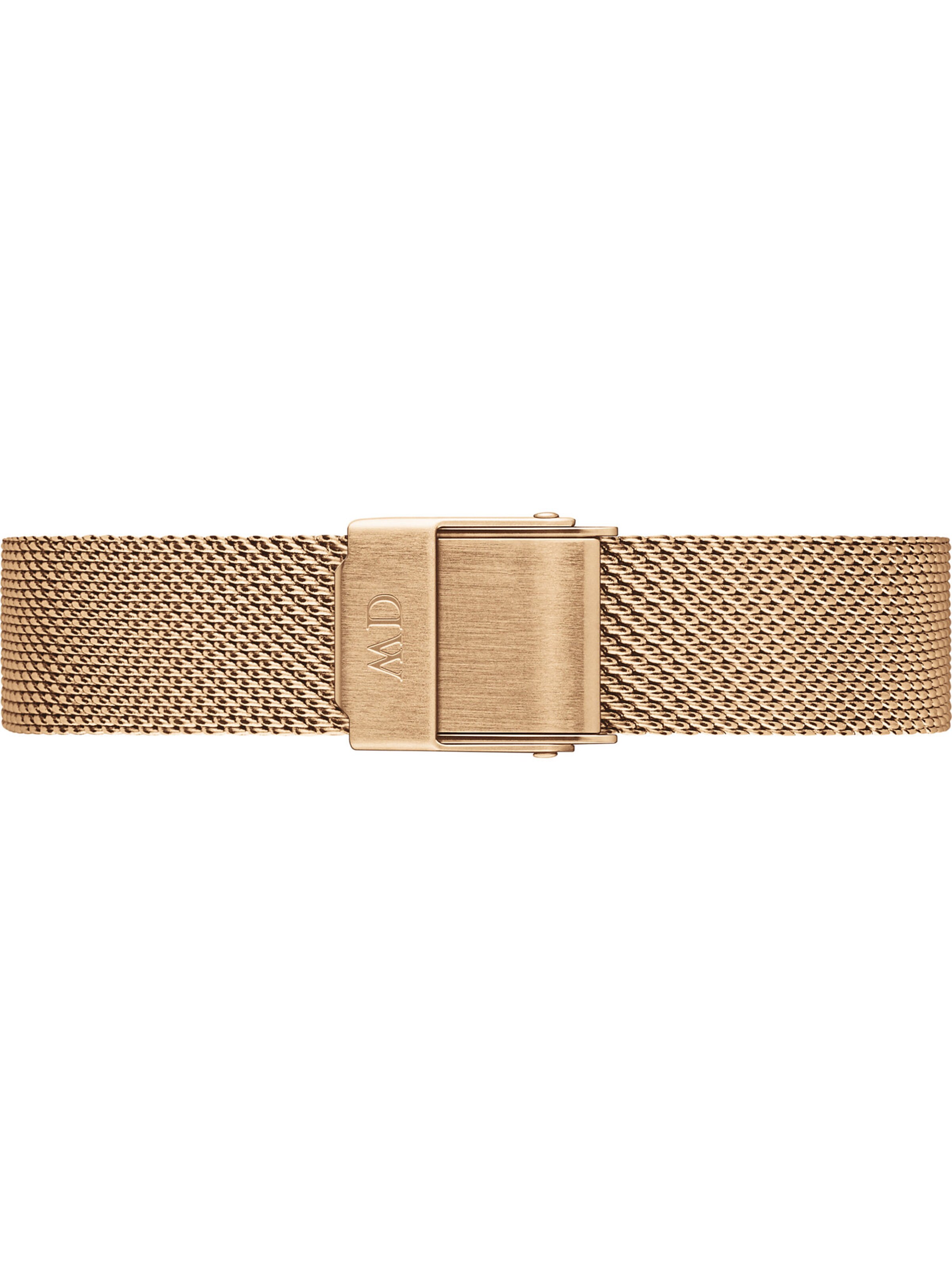 Daniel Wellington Bracelet in Gold: front