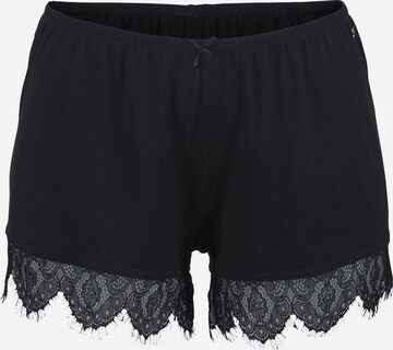 LASCANA Shorts in Schwarz: predná strana