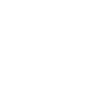 Traveller Logo