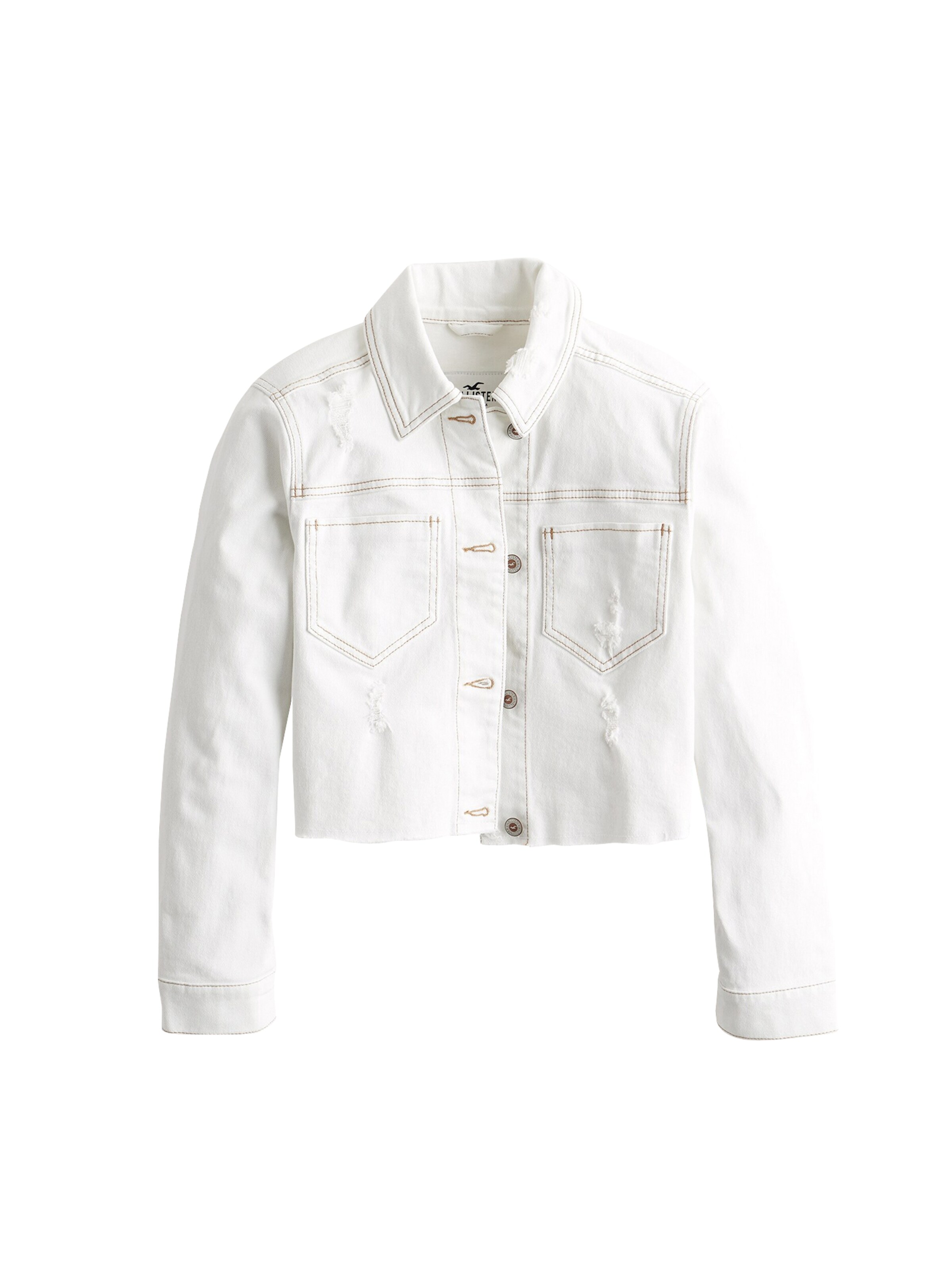 HOLLISTER - Tussenjas in de kleur Wit