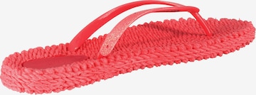 ILSE JACOBSEN Teenslipper 'Cheerful 01' in Rood