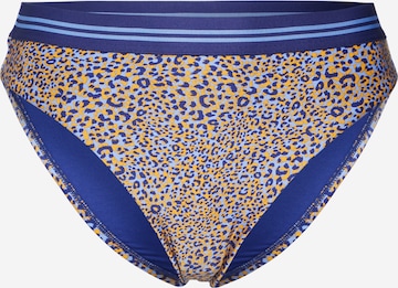 Seafolly Regular Bikinibroek in Blauw: voorkant