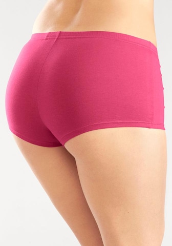 Panty di H.I.S in colori misti