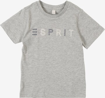 T-Shirt ESPRIT en gris : devant