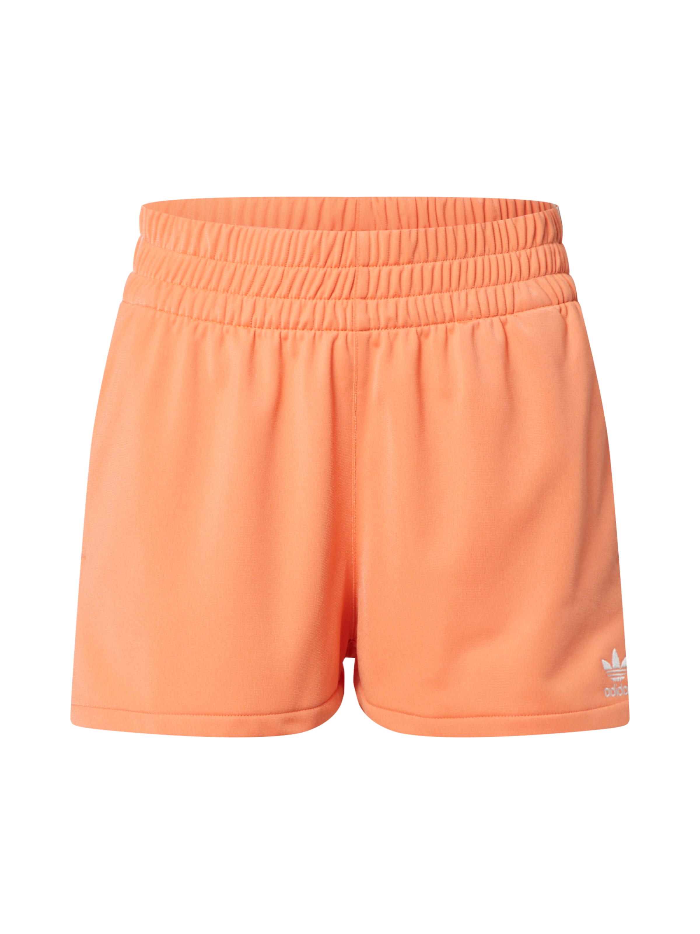 zx 750 heren bluebird