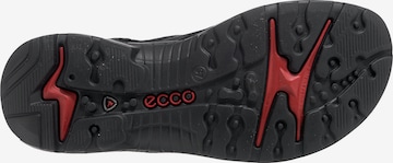 ECCO Trekkingsandale 'Offroad' in Schwarz