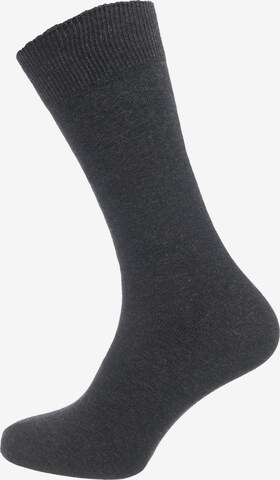 camano Socken in Grau
