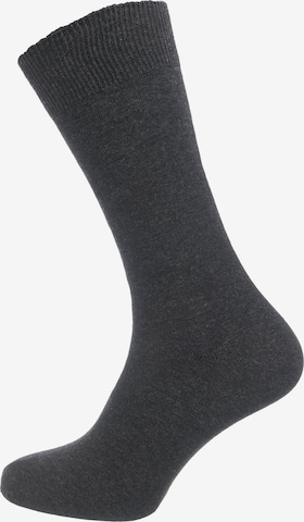 camano Socks in Grey