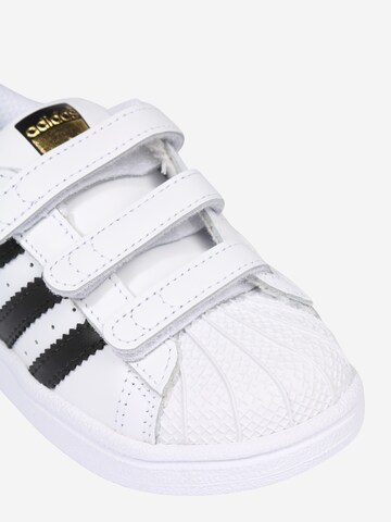 Baskets 'Superstar' ADIDAS ORIGINALS en blanc