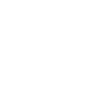 Plein Sport Logo