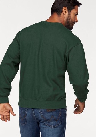 FRUIT OF THE LOOM Sweatshirt in Green