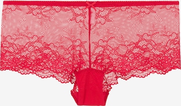 LingaDore - Hipster 'DAILY LACE' em vermelho: frente