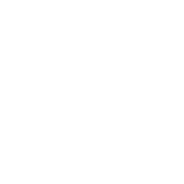 riemot Logo