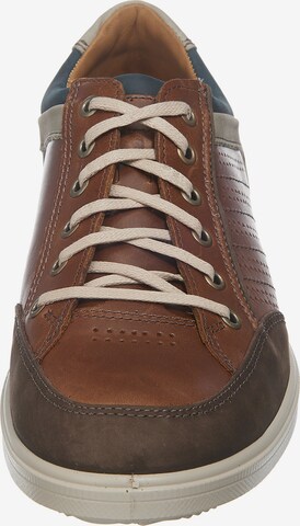 JOMOS Sneakers in Brown