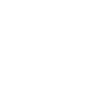 NN07 Logo