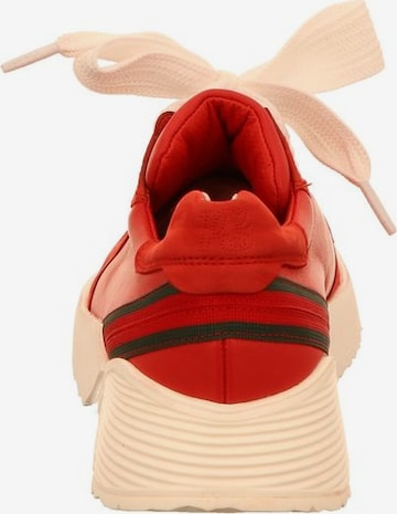 Paul Green Sneakers laag in Rood