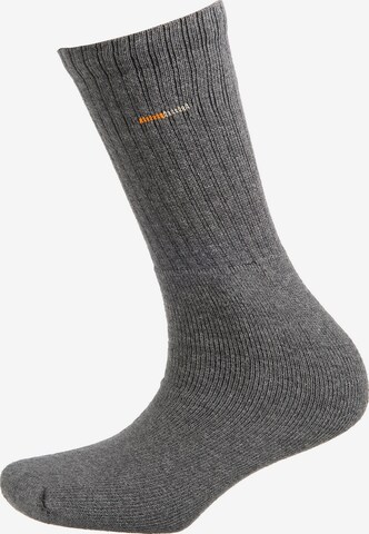 camano Socks in Grey