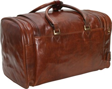 The Bridge Travel Bag in Brown