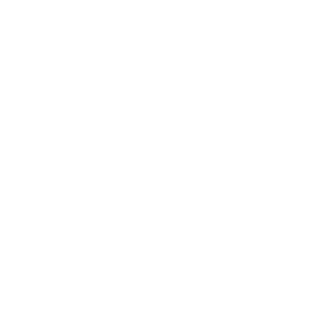 Brise Logo