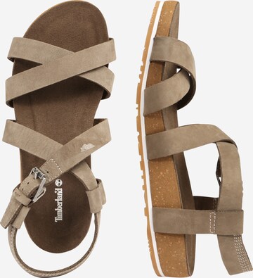 TIMBERLAND Sandalen met riem 'Malibu Waves' in Bruin: zijkant