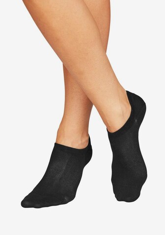 BENCH Ankle Socks in Black