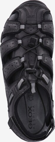 GEOX Sandale 'Strada' in Schwarz