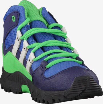 ADIDAS PERFORMANCE Outdoorschuh 'Terrex Mid GTX' in Blau