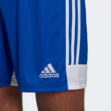 ADIDAS PERFORMANCE Regular Shorts 'Tastigo 19' in Blau