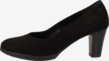 GABOR Pumps in Schwarz