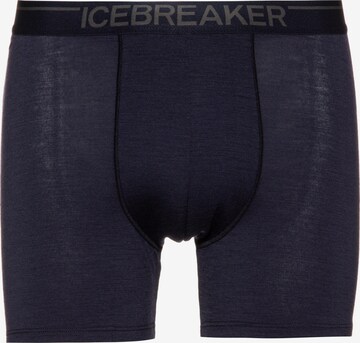 ICEBREAKER Athletic Underwear 'Anatomica' in Purple: front