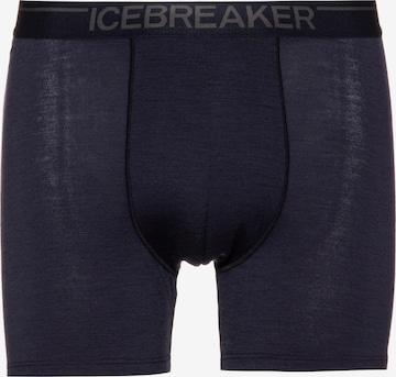 ICEBREAKER Sportunterhose 'Anatomica' in Lila: predná strana