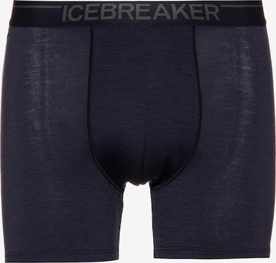 ICEBREAKER Sous-vêtements de sport 'Anatomica' en bleu nuit / marron / aubergine, Vue avec produit