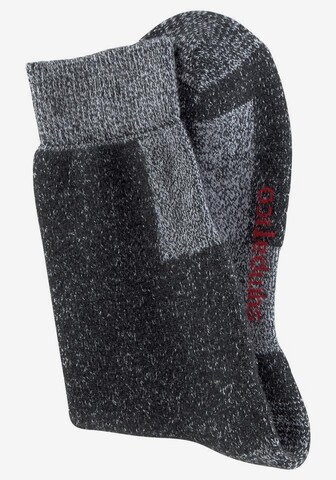 SYMPATICO Socks in Grey