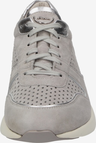 SIOUX Sneaker in Grau