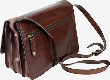 The Bridge Crossbody Bag 'Story Donna' in Brown