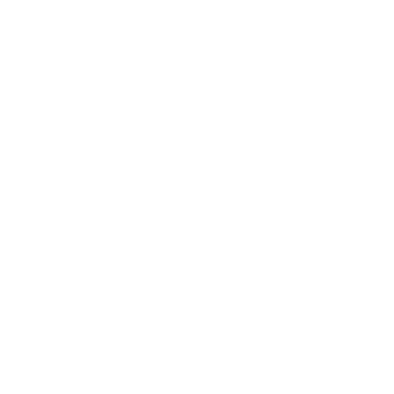 BLUE SKY INN Logo