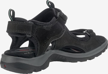 ECCO Trekkingsandale 'Offroad' in Schwarz