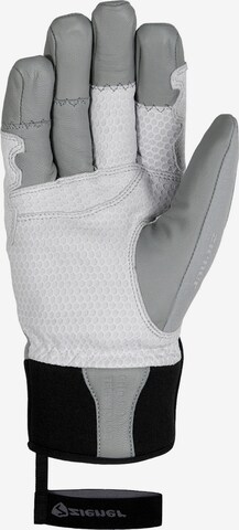 ZIENER Athletic Gloves in Grey