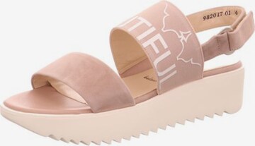 PETER KAISER Sandals in Pink: front