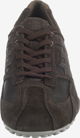 GEOX Sneaker 'Snake' in Braun