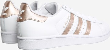 ADIDAS ORIGINALS - Sapatilhas baixas 'Superstar' em branco