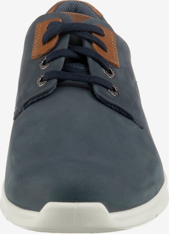 JOMOS Sneaker 'Rogato' in Blau