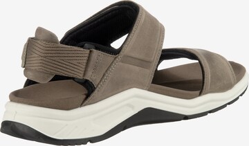 ECCO Hiking Sandals 'X-trinsic' in Grey