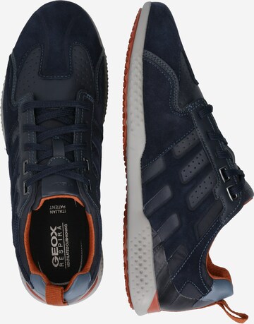 GEOX Sneaker in Blau