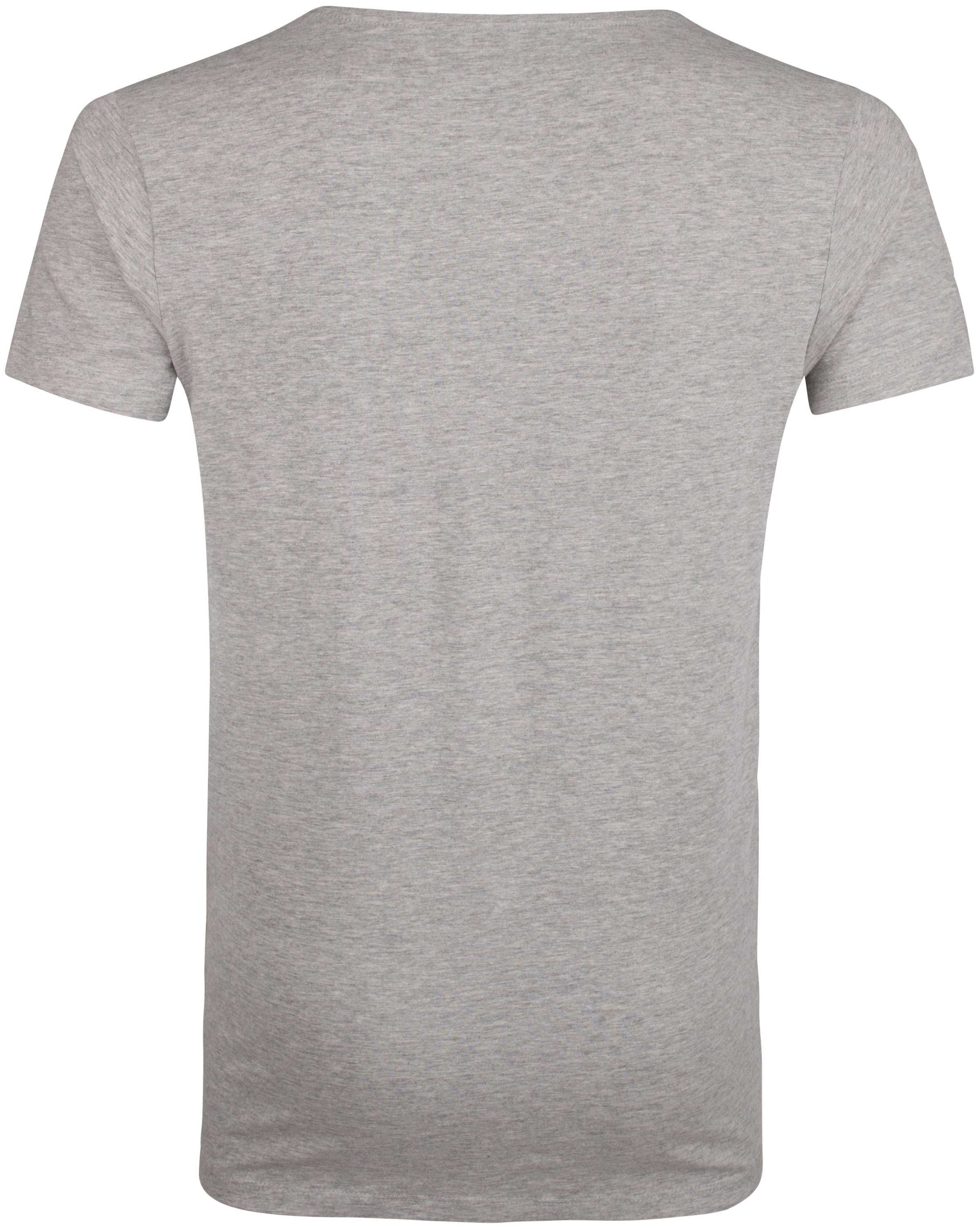 pelēks Petrol Industries T-Krekls