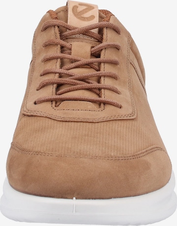 ECCO Sneaker in Beige