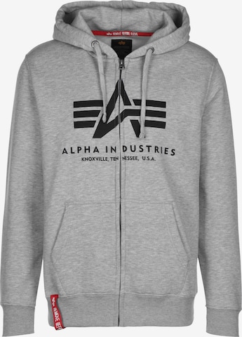 ALPHA INDUSTRIES Суичъри с качулка в сиво: отпред