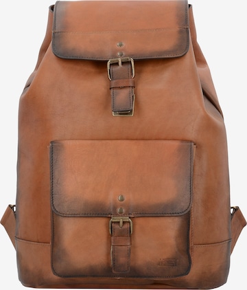 JOST Backpack 'Randers' in Brown: front