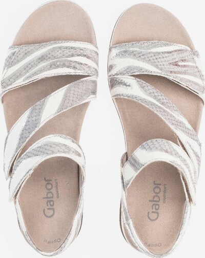 GABOR Sandale in mischfarben offwhite | ABOUT YOU GABOR Sandale in mischfarben offwhite | ABOUT YOU
