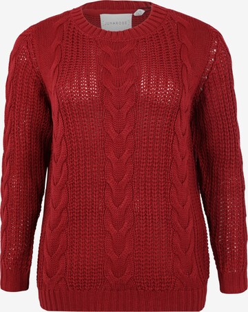Junarose Sweater 'BETTY' in Red